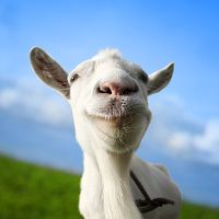 دانلود بازی Goat Simulator